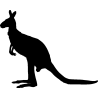 kangourou4