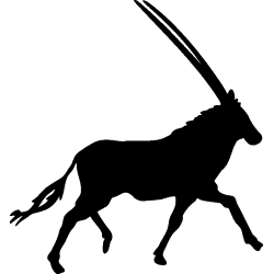 elan3