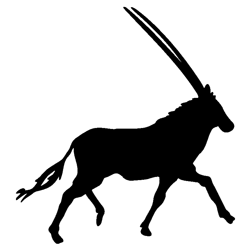 elan3