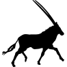 elan3