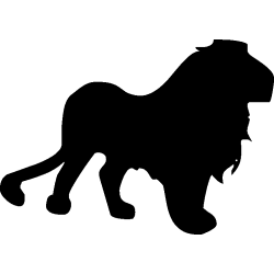 lion4