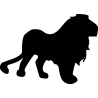 lion4