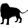 lion5