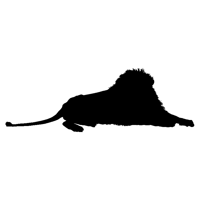 lion6