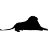 lion6