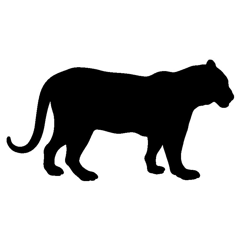 panthere6