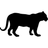 panthere6