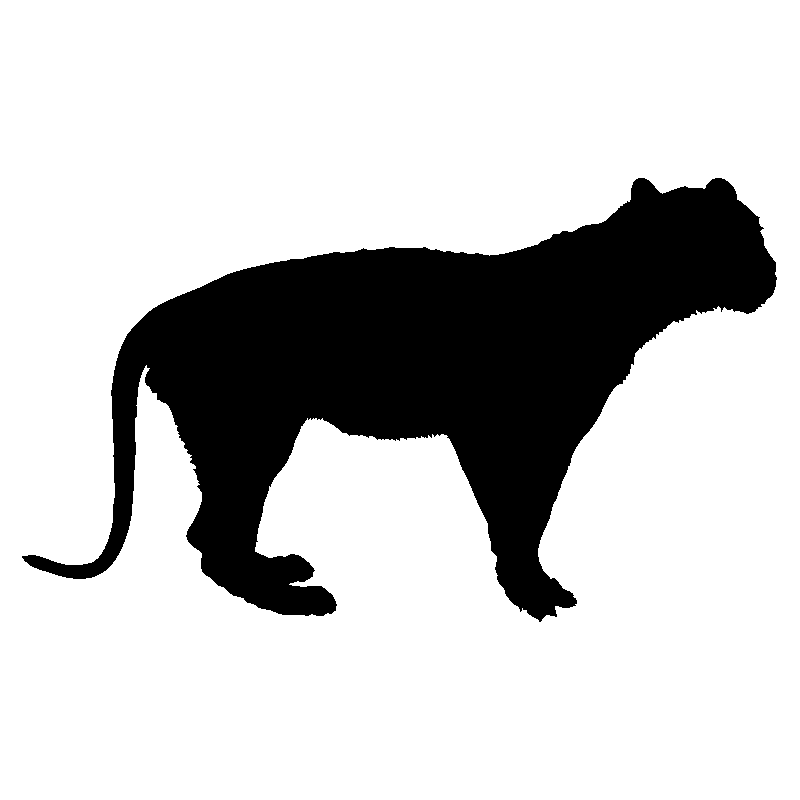 panthere7