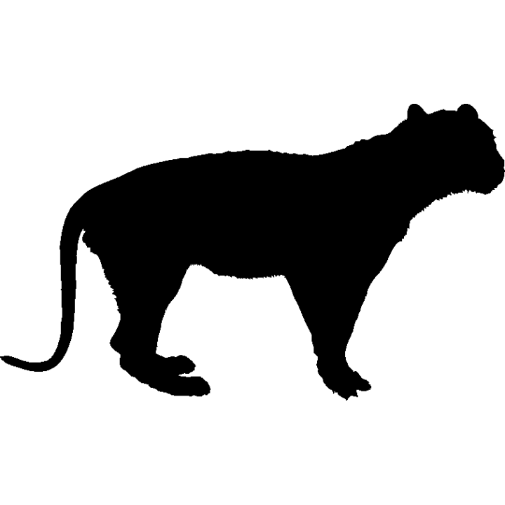 panthere7