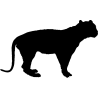 panthere7