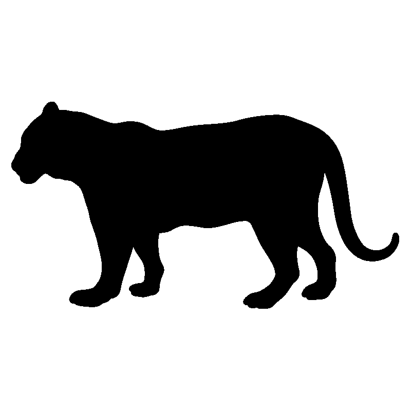 panthere8