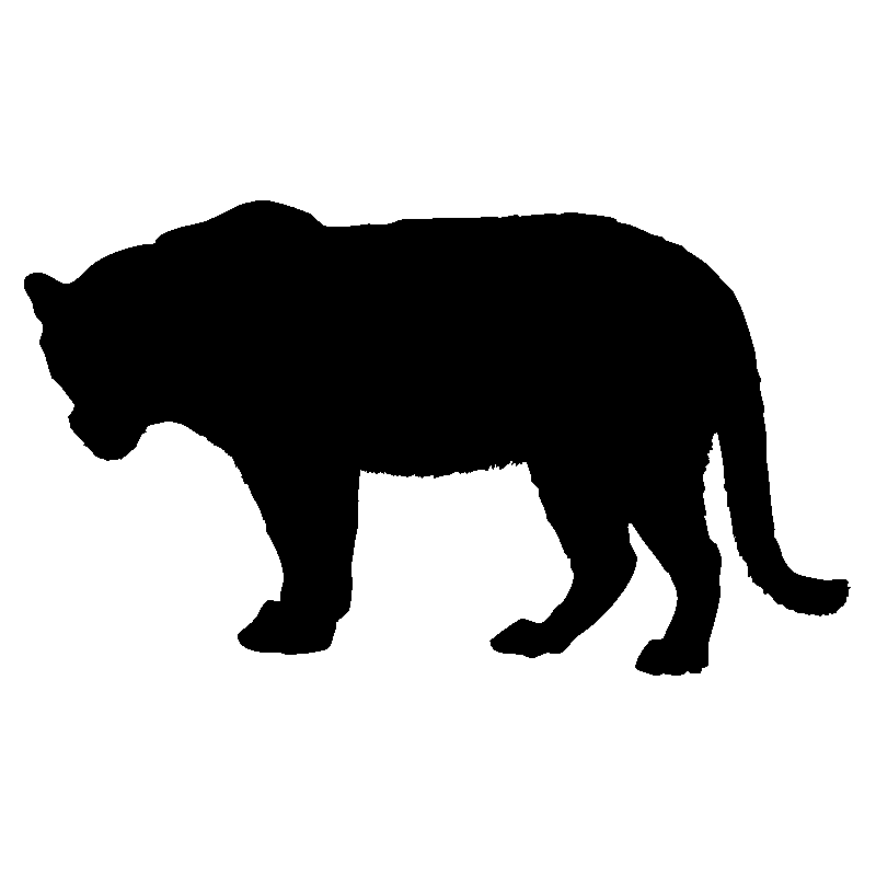 panthere9