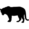 panthere9