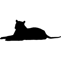 panthere10