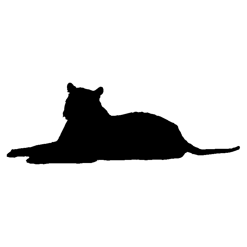 panthere10