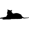 panthere10