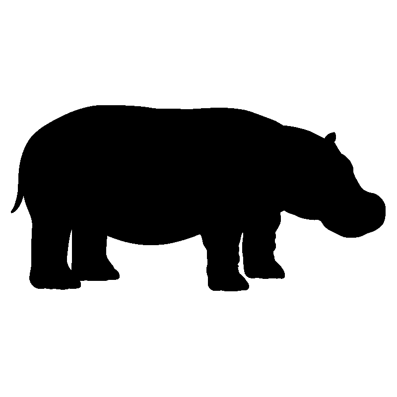 hypopotame1