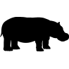 hypopotame1