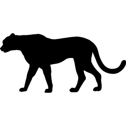 panthere11