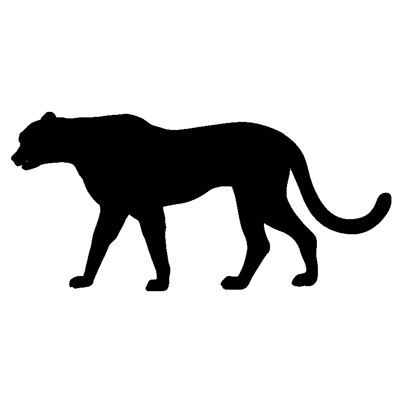 panthere11