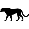 panthere11