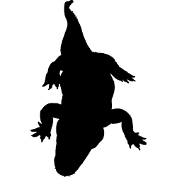 crocodile2