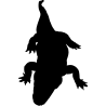 crocodile2