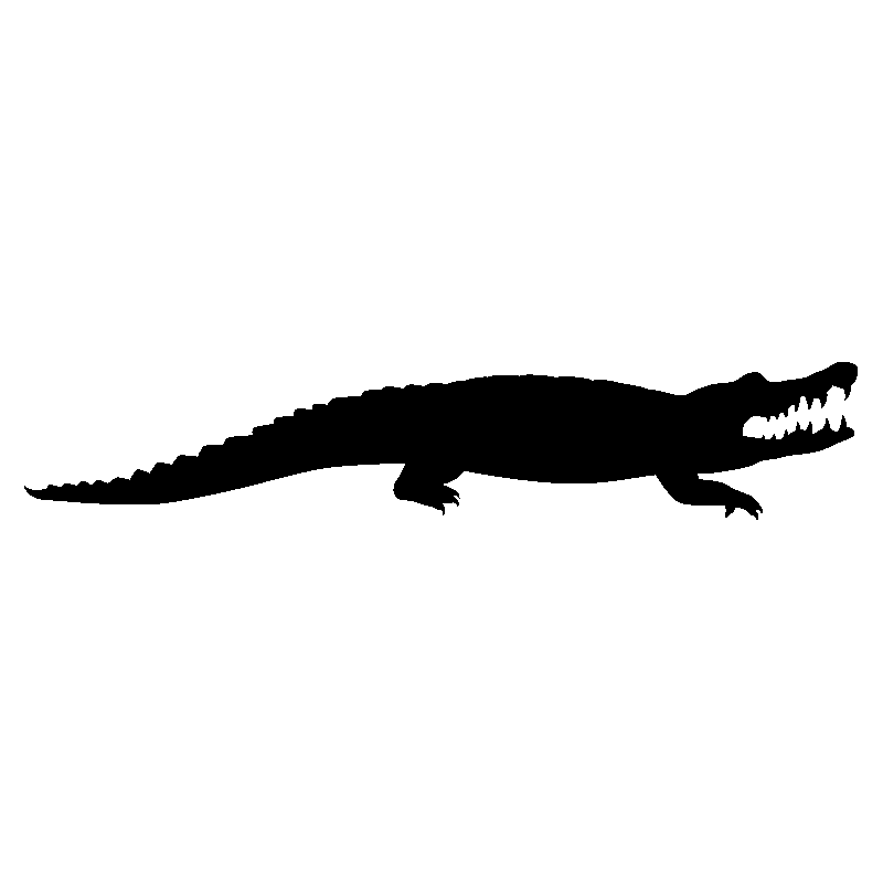 crocodile4