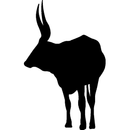 elan3
