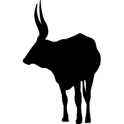 elan3