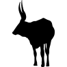 elan3