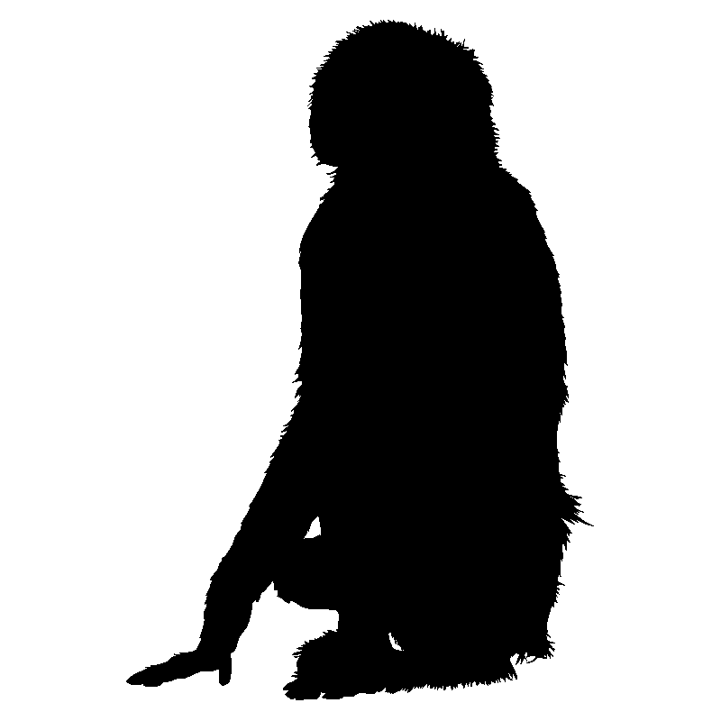 singe1