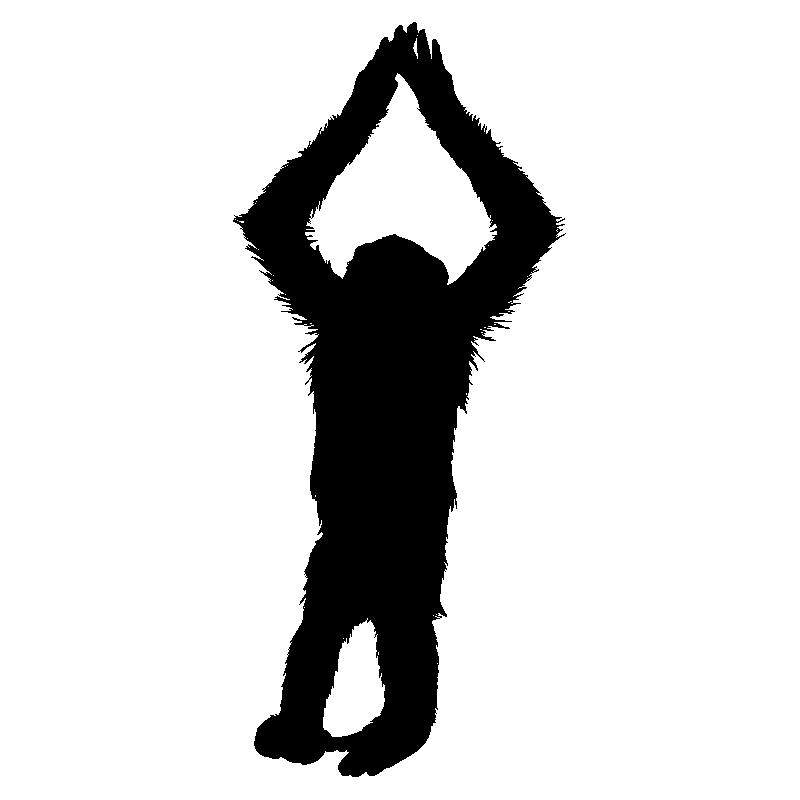 singe3