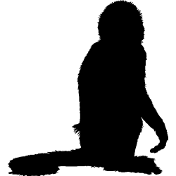 singe4