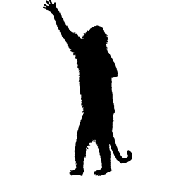 singe5