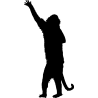 singe5