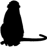 singe7