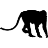 singe8