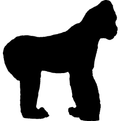 singe9