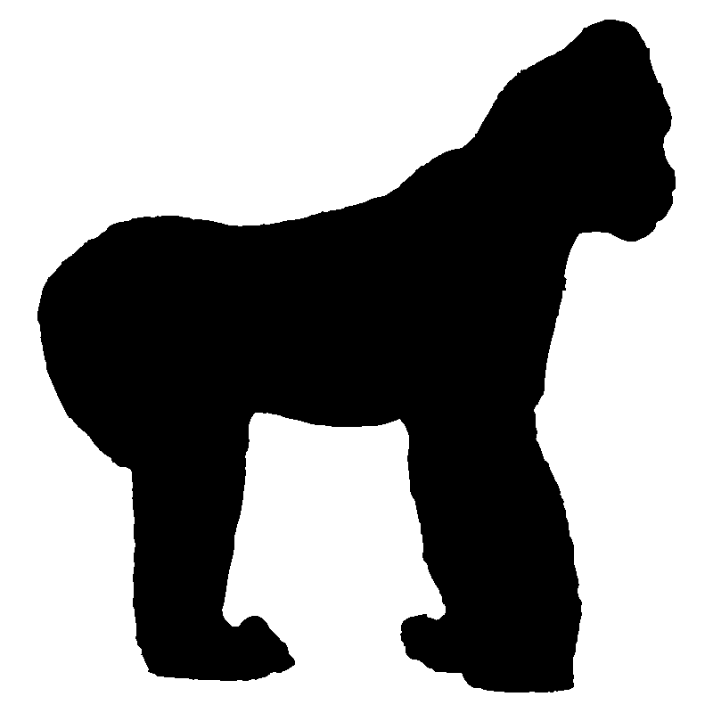 singe9