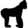 singe9