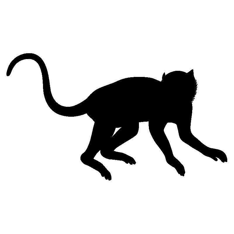 singe10