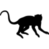 singe10