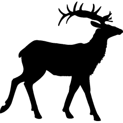 cerf3