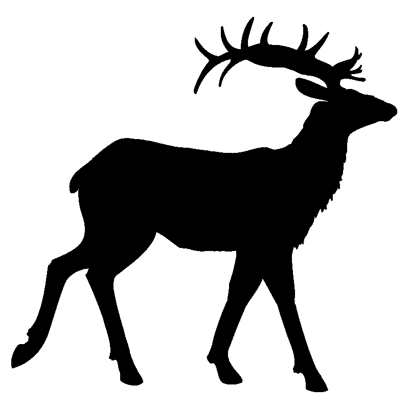 cerf3