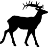 cerf3