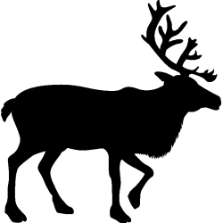 cerf4