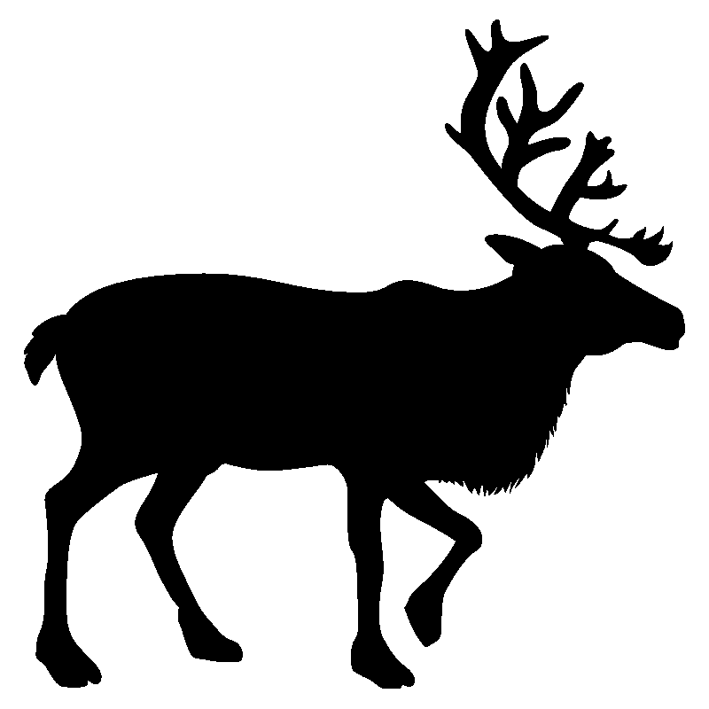 cerf4