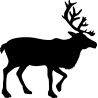 cerf4