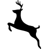 cerf5